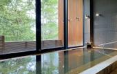 Туры в отель Karuizawa Prince Hotel East