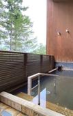 Туры в отель Karuizawa Prince Hotel East