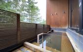 Туры в отель Karuizawa Prince Hotel East