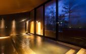 Туры в отель Karuizawa Prince Hotel East