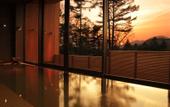 Туры в отель Karuizawa Prince Hotel East