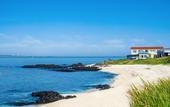 Туры в отель Jeju udo Haneuli Pension
