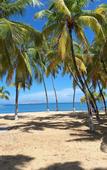 Туры в отель Hotel paradise Puerto la Cruz