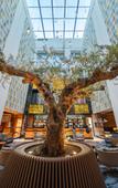 Туры в отель The NINE Lifestyle Experience