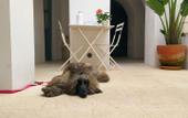 Туры в отель Casa boutique Encalada