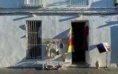 Туры в отель Casa boutique Encalada