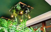 Туры в отель Csa Hotel Beach & Park