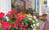 Туры в отель Hotel Royale de CASA