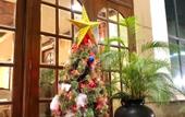 Туры в отель Hotel Royale de CASA