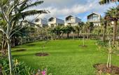 Туры в отель Azores Homes Resort & Spa