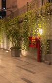 Туры в отель Z Bliss Suites