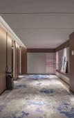 Туры в отель Hilton Garden Inn Bazhong Bazhou