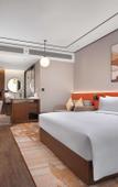 Туры в отель Hilton Garden Inn Bazhong Bazhou