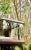 Туры в отель Timber Society Boutique Hideaway
