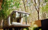 Туры в отель Timber Society Boutique Hideaway