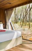 Туры в отель Timber Society Boutique Hideaway