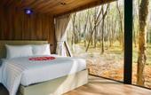 Туры в отель Timber Society Boutique Hideaway