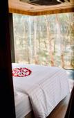 Туры в отель Timber Society Boutique Hideaway