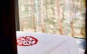Туры в отель Timber Society Boutique Hideaway
