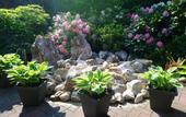 Туры в отель Kafernberg Weinhotel