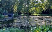 Туры в отель Historischer Gasthof Kaisermuhle - Hotel & Restaurant Viersen Zentrum