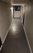 Туры в отель Gangnam Seven Hostel