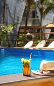 Туры в отель The Rose Goa Beach Resort