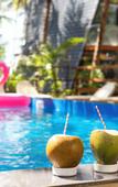 Туры в отель The Rose Goa Beach Resort