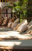 Туры в отель The Rose Goa Beach Resort