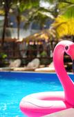 Туры в отель The Rose Goa Beach Resort