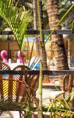 Туры в отель The Rose Goa Beach Resort