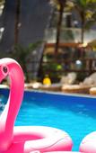 Туры в отель The Rose Goa Beach Resort