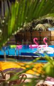 Туры в отель The Rose Goa Beach Resort