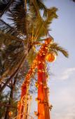 Туры в отель The Rose Goa Beach Resort