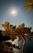 Туры в отель Kabak Utopya