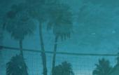 Туры в отель Casa Palma Hotel & Bungalows