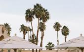 Туры в отель Casa Palma Hotel & Bungalows