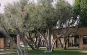 Туры в отель Casa Palma Hotel & Bungalows