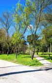 Туры в отель Avenue Hill Hotel