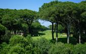 Туры в отель La Costa Golf & Beach Resort