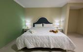 Туры в отель Hotel El Imperio Punta Cana