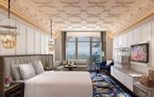 Туры в отель Fairmont Udaipur Palace