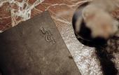 Туры в отель Gentle Hide Designhotel