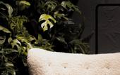 Туры в отель Gentle Hide Designhotel
