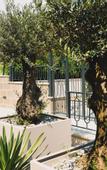 Туры в отель Dimitris Residence