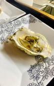 Туры в отель HAKONE saryo KINTOKI