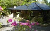 Туры в отель HAKONE saryo KINTOKI