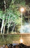 Туры в отель HAKONE saryo KINTOKI