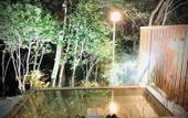 Туры в отель HAKONE saryo KINTOKI