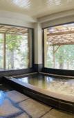 Туры в отель HAKONE saryo KINTOKI